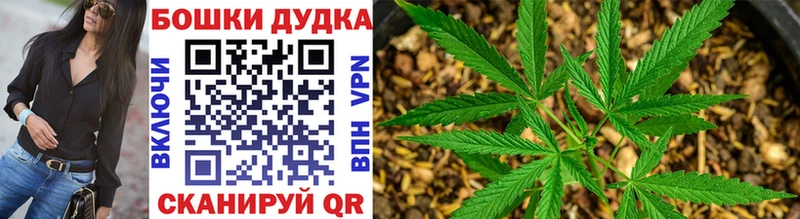 Наркошоп купить Гашиш  Канабис  КОКАИН  Мефедрон  Великий Устюг