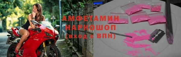 ГАЛЛЮЦИНОГЕННЫЕ ГРИБЫ Белокуриха