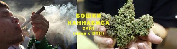 ГАЛЛЮЦИНОГЕННЫЕ ГРИБЫ Белокуриха