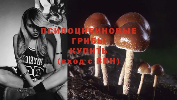 крисы Белоозёрский