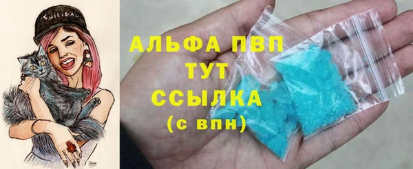 ГАЛЛЮЦИНОГЕННЫЕ ГРИБЫ Белокуриха