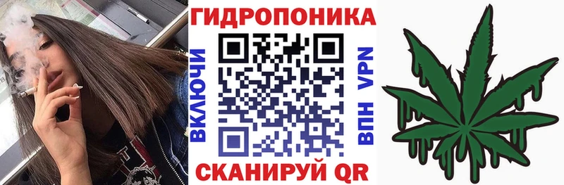 Купить где  Великий Устюг  Конопля гибрид 
